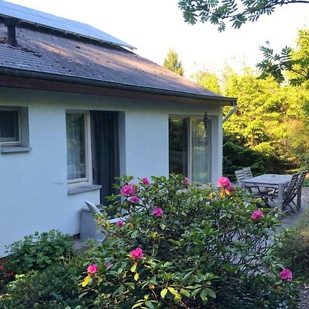 Villa Des Grues A Filly Houffalize Kültér fotó
